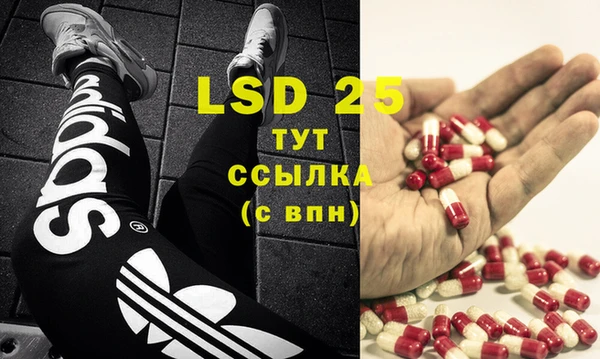 прущий лед Богданович