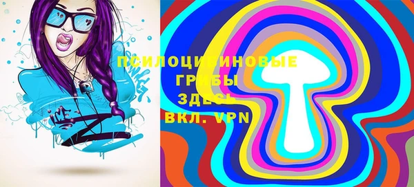 прущий лед Богданович