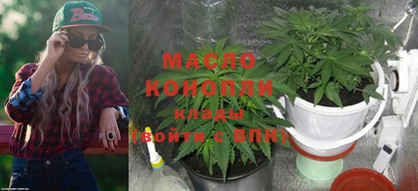 прущий лед Богданович