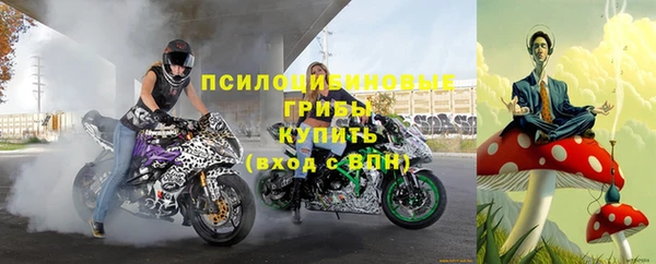 Альфа ПВП Богородск
